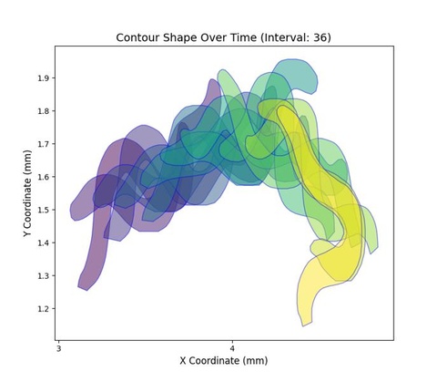 New Tools for Behavioral Neuroscience