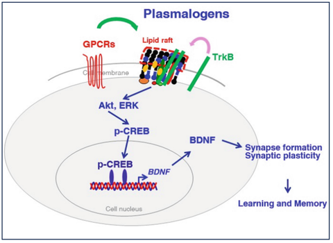 Drug Discovery Research 1