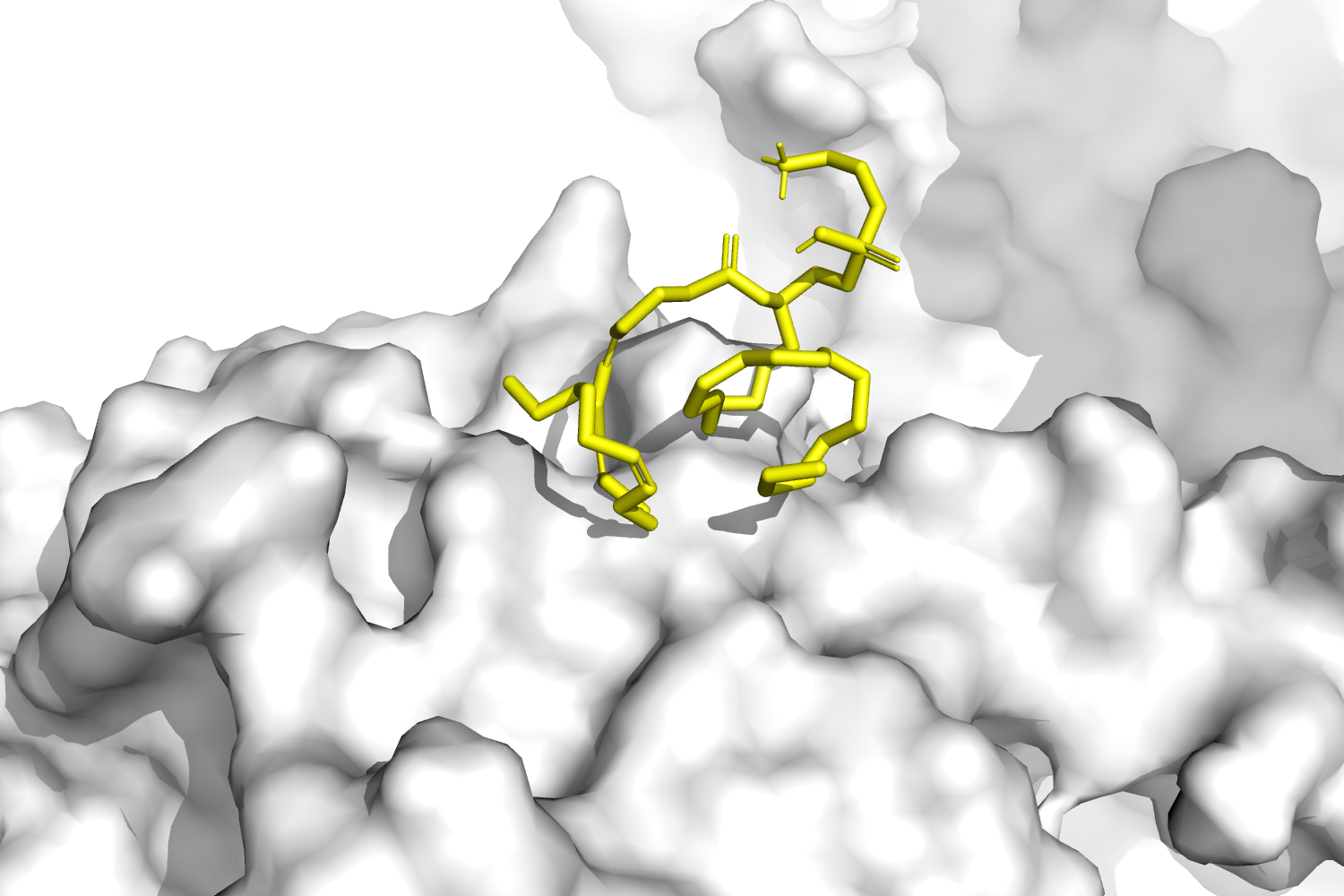 Molecular Dynamics and Simulation for New Drug Discovery
